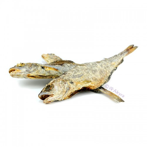 Akyra wijting 250g