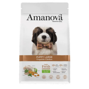 Am puppy large chicken 12kg