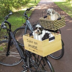 BZ hout fietsmand journey