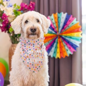 BZ party bandana