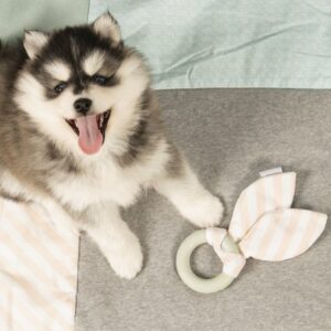 BZ puppy rubber kauwring tjuwa