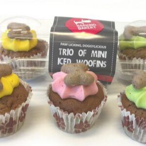 Barking bakery mini iced trios bright color