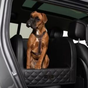 Car seat Comfort L zwart