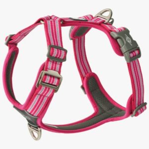 Comfort Walk Air™ Harness Wild Rose S