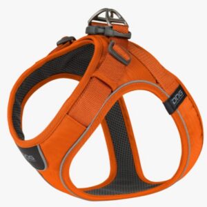 Comfort Walk Go™ Harness Orange Sun S