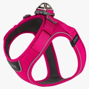 Comfort Walk Go™ Harness Wild Rose M