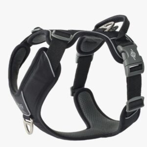 Comfort Walk Pro™ Harness Black L