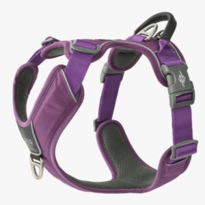 Comfort Walk Pro™ Harness Purple Passion M