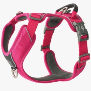 Comfort Walk Pro™ Harness Wild Rose S