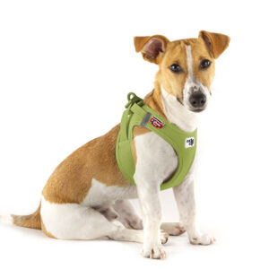 Curli vest harnas clasp Air mesh - XL Lime
