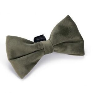 DBL velvet hondenstrik zaza S 9cm groen
