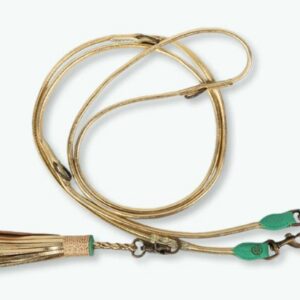 DWAM hondenriem - Golden moon L