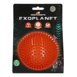 Dog comets exoplanet orange L