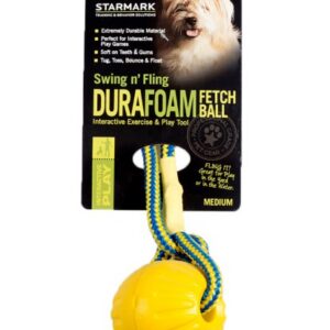 Everlasting swing n fling fetch ball