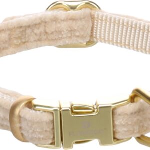 Halsband Saba Beige XS 20-35cm