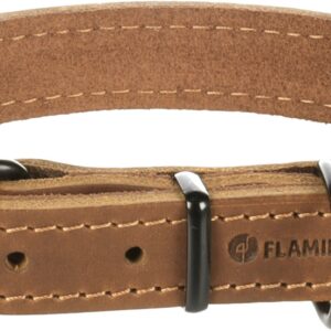 Halsband montana cognac M/L 38.5-48.5cm 25mm