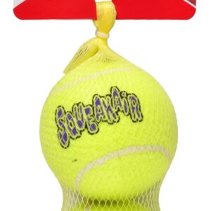 Kong net 2 tennisbal + piep L