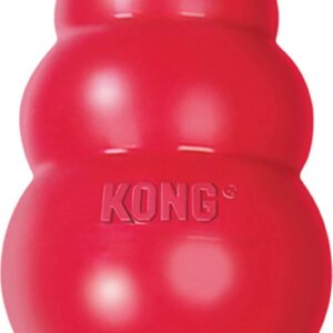 Kong rubber L rood