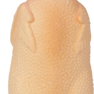 Latex kip klein