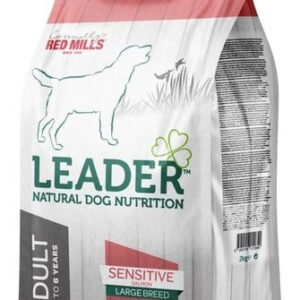 Leader sensitive salmon large breed 12kg