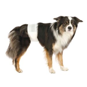 Luiers voor reuen L-XL