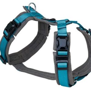 Magnetech harness - S anthracite/petrol