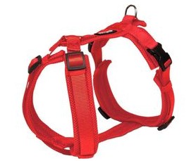 Mesh Y-Comfort harnas L rood