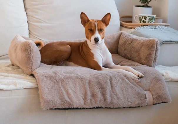 Nuzzle sofa bed - taupe M
