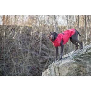 Regenjas vimy 40 cm rood