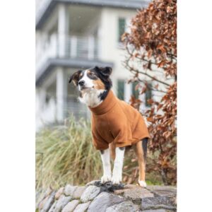 Sweatshirt CityStyle Amsterdam 55 cm roest