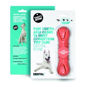 TB Dental cinnamon mint