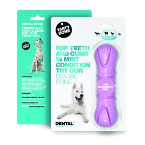 TB Dental raspberry mint
