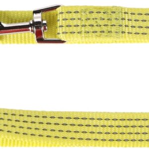 Trainingslijn Len fluo 2m