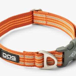 Urban Style™ Collar Orange Sun M