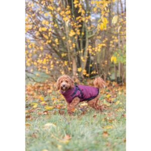 Winterjas pirou met tuig 45 cm sangria