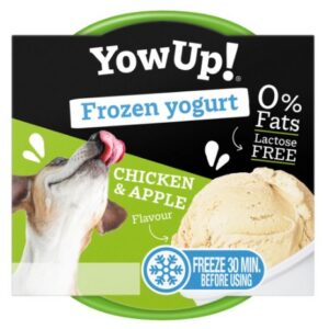Yowup ice cream yoghurt