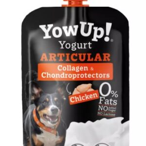 Yowup yoghurt articular 115g