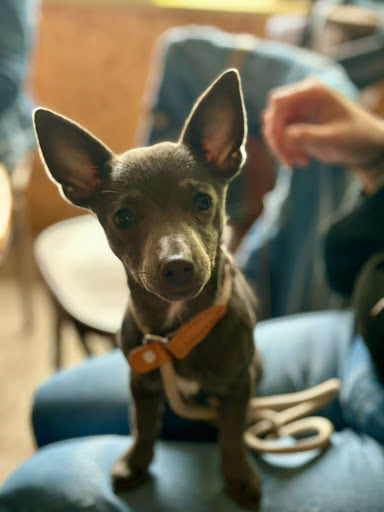 Milly