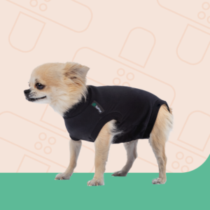 Suitical recovery suit dog - black S