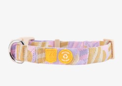 Woolly wolf collar - Sunshower L