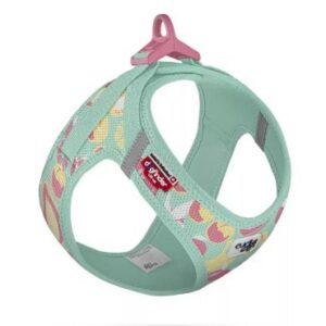 Curli Vest Clasp Air-Mesh - Juicy Fruits Turquoise S