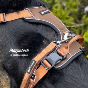 Magnetech harness - XS mokka/cognac