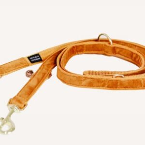 Honden lijn velvet oranje size L 2m