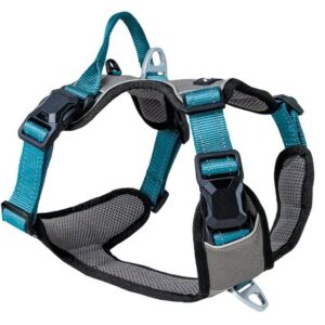 Magnetech harness - XL anthracite/petrol