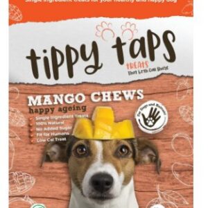 Tippy taps fruit snack - Mango