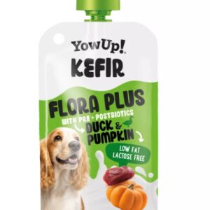 Yowup! Kefir Eend & Pompoen