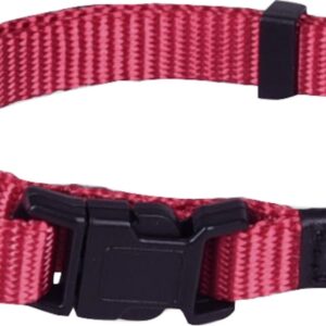 Halsband ziggi kersenrood XS 20-35cm