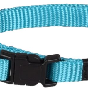 Halsband ziggi turkoois XS 20-35cm