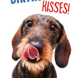 Kaart A5 birthday kisses dachshund