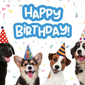 Kaart A5 birthday puppies